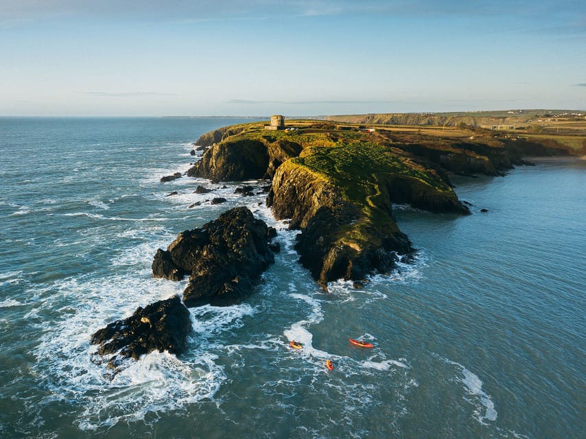 Wexford: Hook Peninsula Sea Cave Kayaking Experience - Wildlife on the Hook: seals, dolphins, and sea birds without chasing