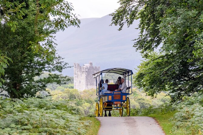 Whiskey & Wonders in Killarney - How the 2.5-hour pacing actually feels