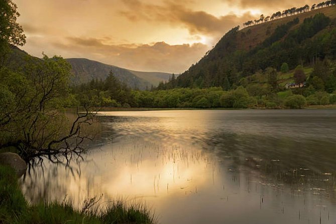 Wicklow Mountains & Glendalough Luxury Private Day Tour - Powerscourt Waterfall: a quick nature hit with real wildlife odds