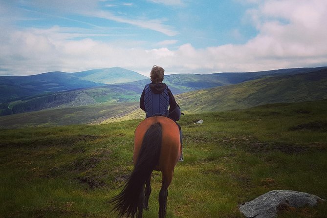 Wicklow Mountains Horse Trekking - Key points before you ride