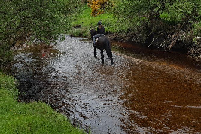 Wicklow Mountains Horse Trekking - Why this Wicklow horseback trek is such a practical Ireland activity