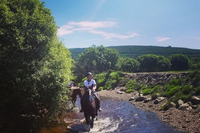 Wicklow Mountains Horse Trekking - Following the Kings River valley: the calm, scenic stretch
