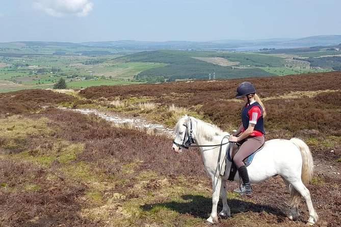 Wicklow Mountains Horse Trekking - When lake time happens on the property