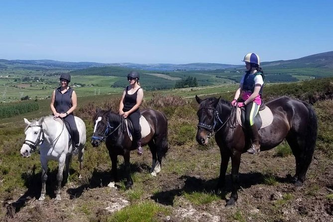 Wicklow Mountains Horse Trekking - Guides and helpers: the names you may hear on your ride