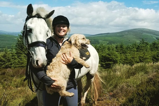 Wicklow Mountains Horse Trekking - Hollywood Horse And Pony Trekking: your base before you head out
