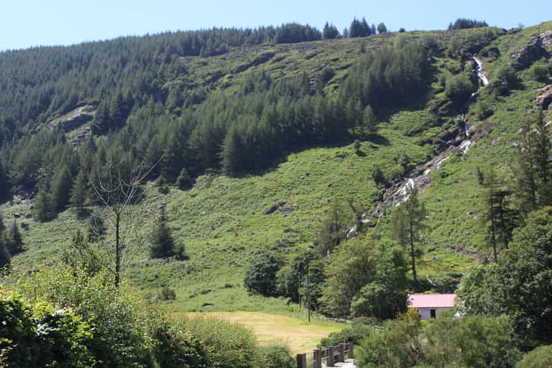 Wicklow Mountains Private Day Tour including Glendalough - Guided Walk in Glendalough: Lower Lake to Upper Lake