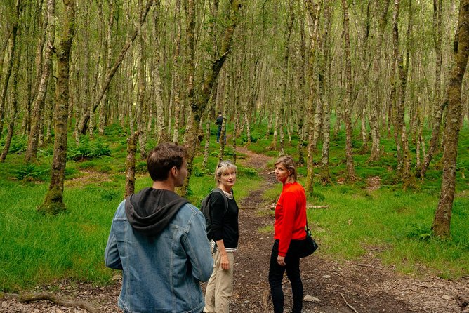 Wicklow Mountains Private Day Trip from Dublin - Powerscourt Waterfall and the 121m drop at the estate