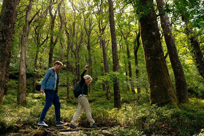 Wicklow Mountains Private Day Trip from Dublin - Optional routing: St. Kevin’s Parish and Laragh may appear