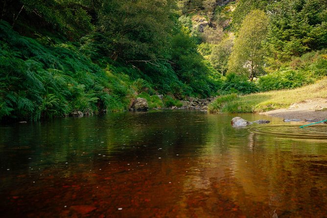 Wicklow Mountains Private Day Trip from Dublin - How your local host changes the day