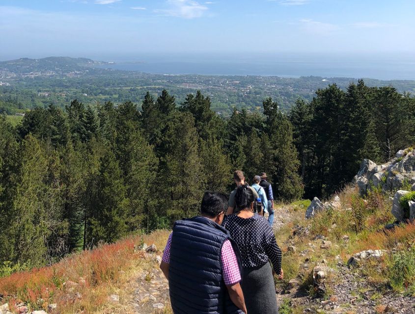 Wicklow: Private Day Tour from Dublin - Glendalough Valley walk and St Kevin’s 6th-century monastic site