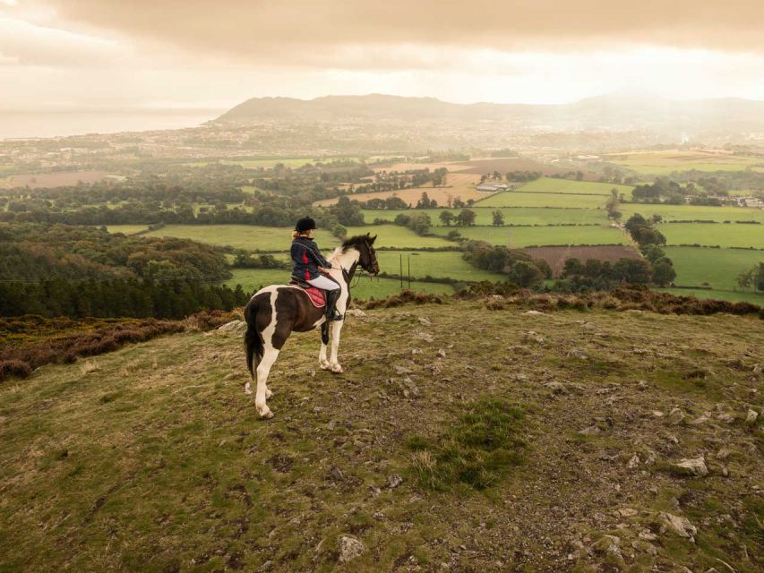 Wicklow: Private Day Tour from Dublin - Who this Wicklow tour is best for