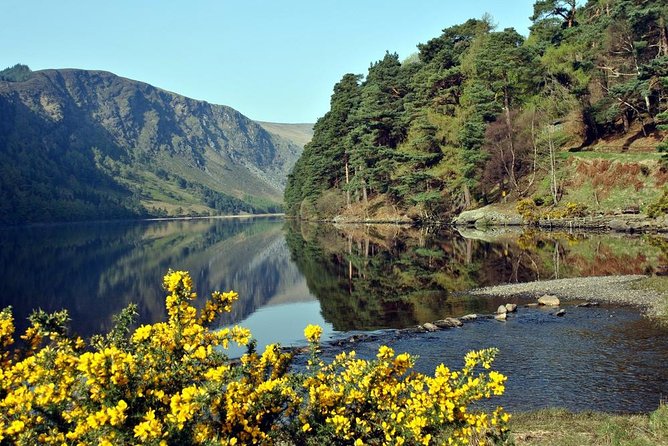 Wicklow tour of Glendalough - Lough Tay, the Guinness Lake, and the PS I Love you Bridge stop