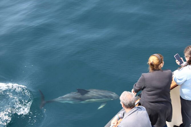 Wildlife Tour - Departure details: the 9:30am plan and group feel